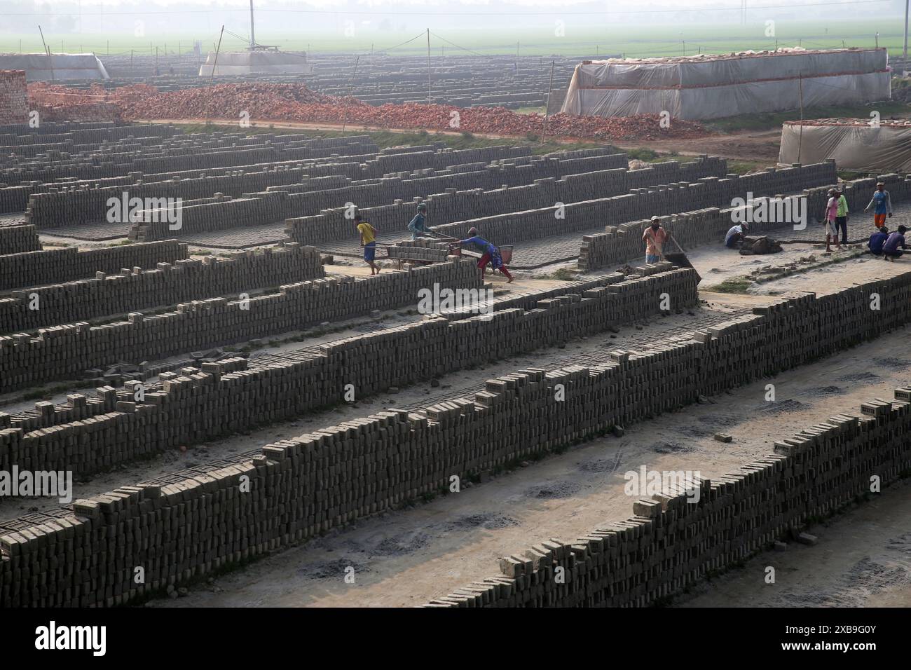 I mattoni di fango del suolo in un campo aperto sono lasciati asciugare al sole prima di essere bruciati nei forni tradizionali, il Bangladesh Foto Stock