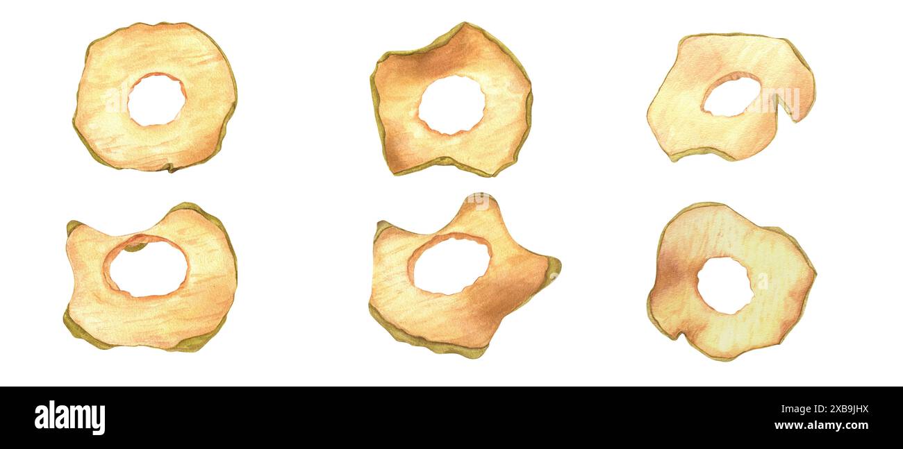 Fette di patatine di mele. Cibo vegano sano. Set di spuntini secchi biologici biologici. Creme di frutta secche. Ingrediente per piatti, dessert. Foto Stock