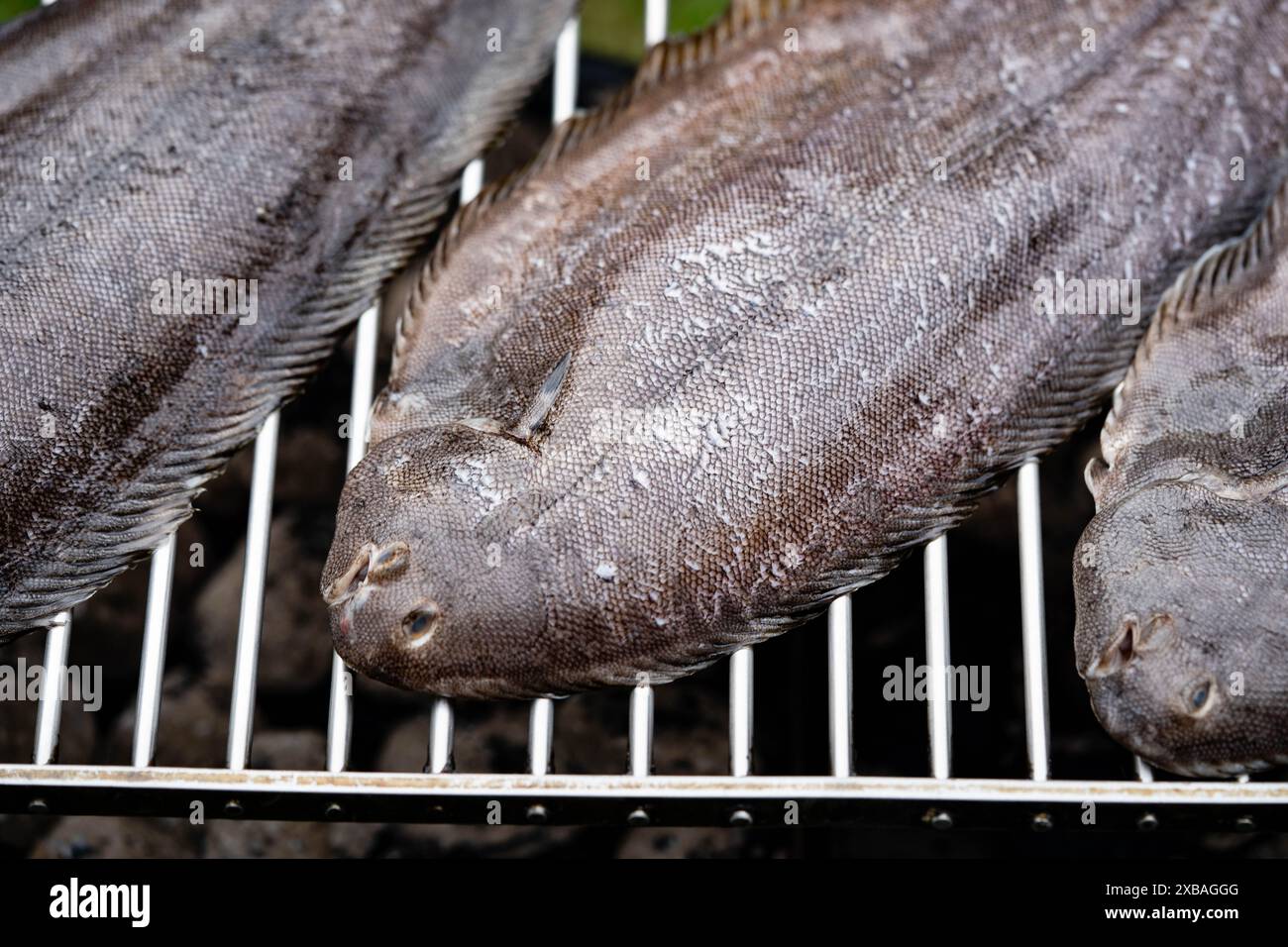 La suola di acqua salata un piatto delizioso Foto Stock