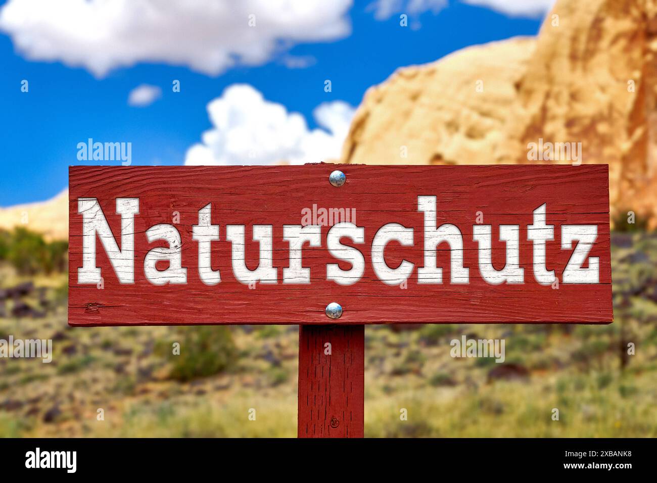 11 giugno 2024: Conservazione della natura, scritta su un cartello di legno in una riserva naturale di fronte a una montagna e a un cielo azzurro. Concetto di tutela ambientale e conservazione sostenibile della natura. FOTOMONTAGGIO *** Naturschutz, Schriftzug auf einem Holzschild in einem Naturschutzgebiet vor einem Berg und blauem Himmel. Umweltschutz und nachhaltiger Bewahrung der Natur Konzept. FOTOMONTAGE Foto Stock