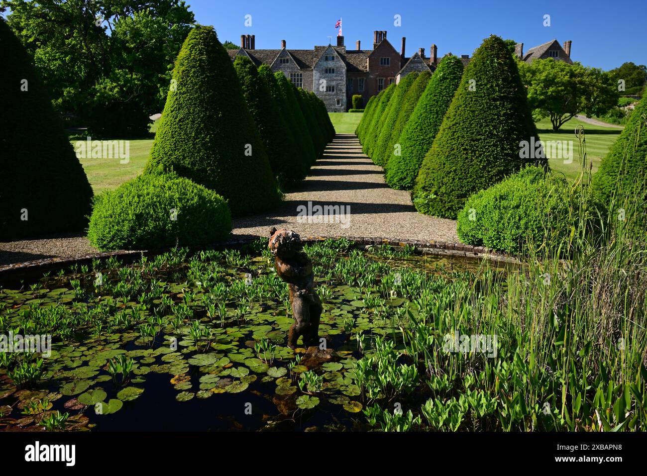 Laghetto ornamentale di giglio e siepi coniche nel giardino posteriore di Littlecote House, un hotel Warner nel Wiltshire. Foto Stock