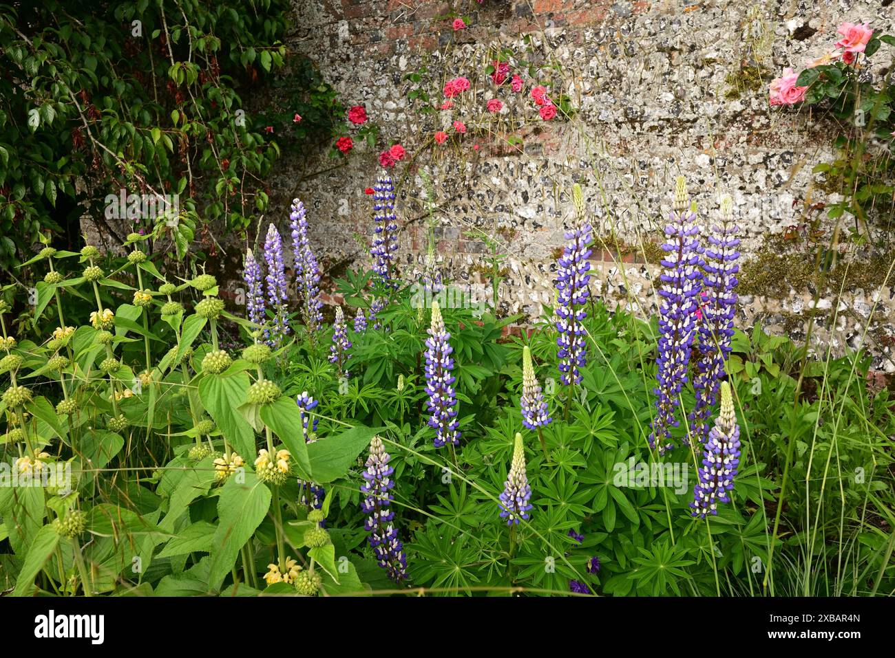 Fiori al confine del giardino recintato di Littlecote House, un hotel Warner nel Wiltshire. Foto Stock