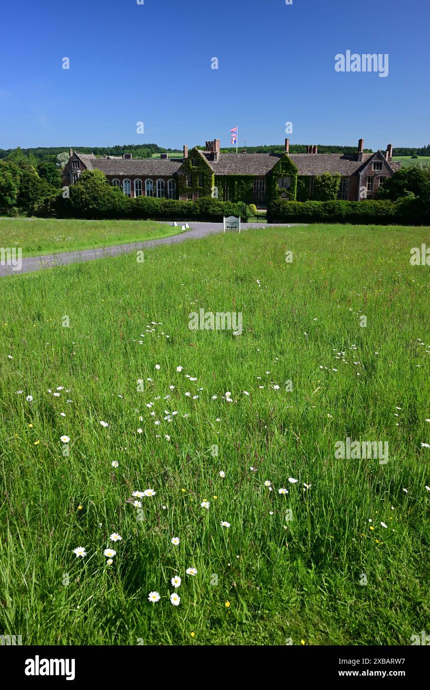 Prato di fiori selvatici di fronte a Littlecote House, una residenza elisabettiana nel Wiltshire che ora è un hotel Warner. Foto Stock