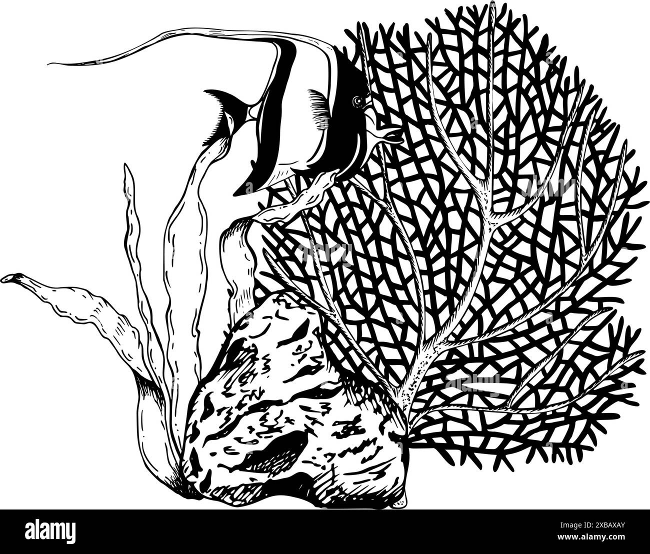 Composizione fondale sottomarino della barriera corallina con esotici pesci idolo moresco. Illustrazione vettoriale disegnata a mano isolata su sfondo bianco. Bianco e nero Illustrazione Vettoriale