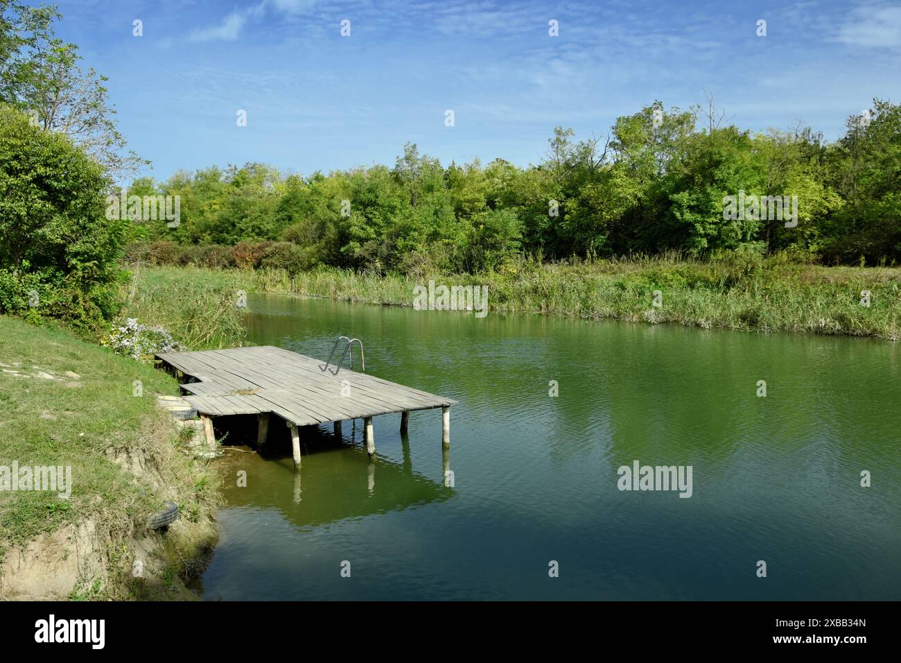 Acqua verde nella parte del "Canal grande Backa" del "Canale Danubio-Tisa-Danubio" che le collega l'una all'altra: La lunghezza totale del cana principale scavato Foto Stock