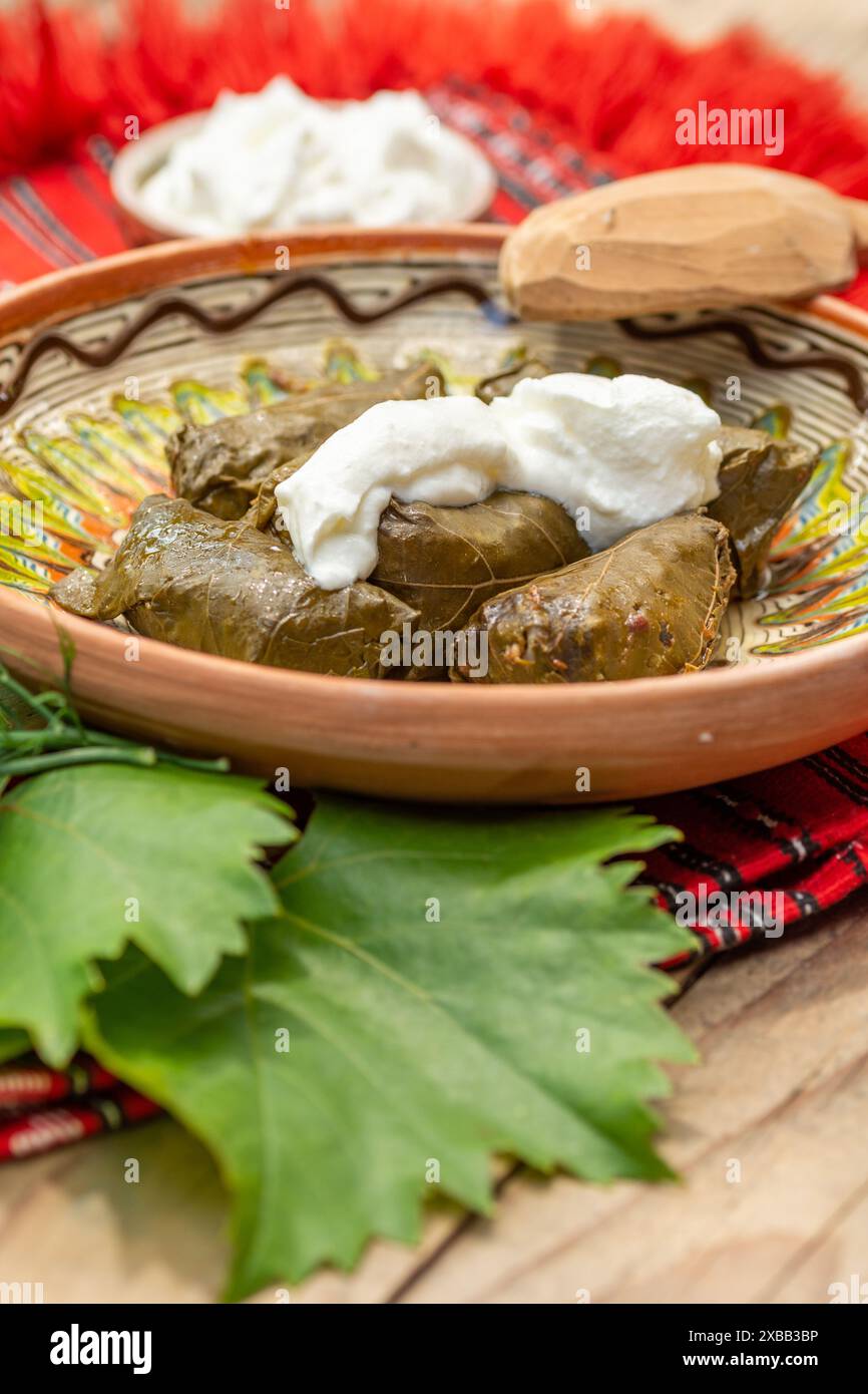 involtini di carne avvolti con foglie di vino, cucina balcanica sarma Foto Stock