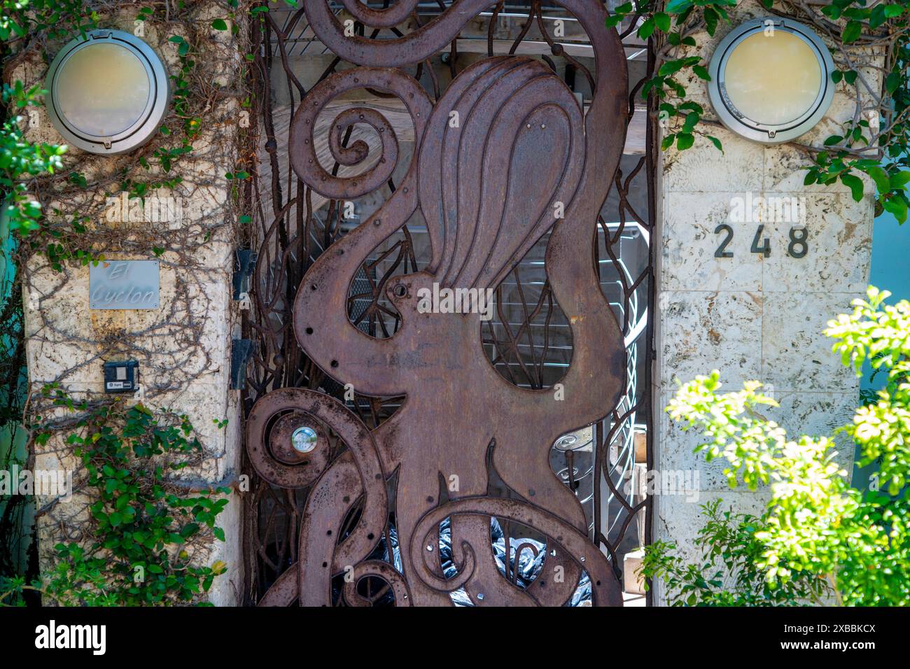 Una porta d'ingresso artistica dal design polpo Foto Stock