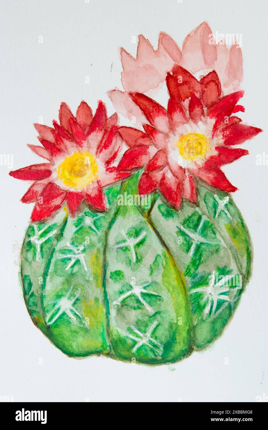 Acquerello. Illustrazione di cactus con corna e fiori rossi. Sfondo bianco Foto Stock