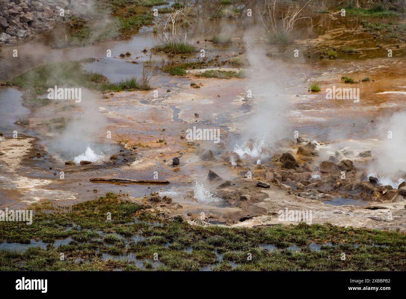 Area geotermale di Alolabad in Etiopia con surreale paesaggio di sorgenti calde colorate, fumarole fumanti e geyser di sale in eruzione in un arido, Afar Foto Stock