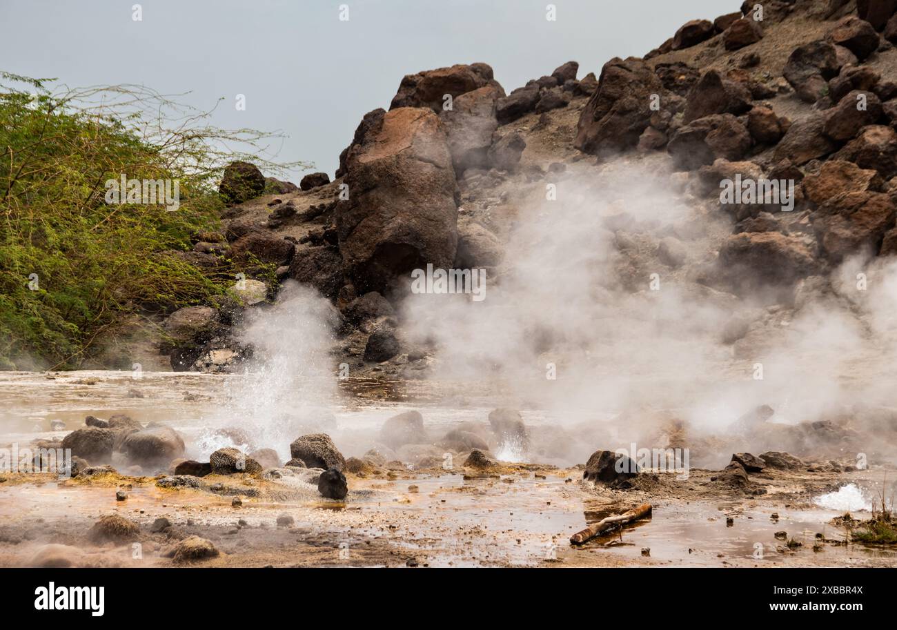 Area geotermale di Alolabad in Etiopia con surreale paesaggio di sorgenti calde colorate, fumarole fumanti e geyser di sale in eruzione in un arido, Afar Foto Stock