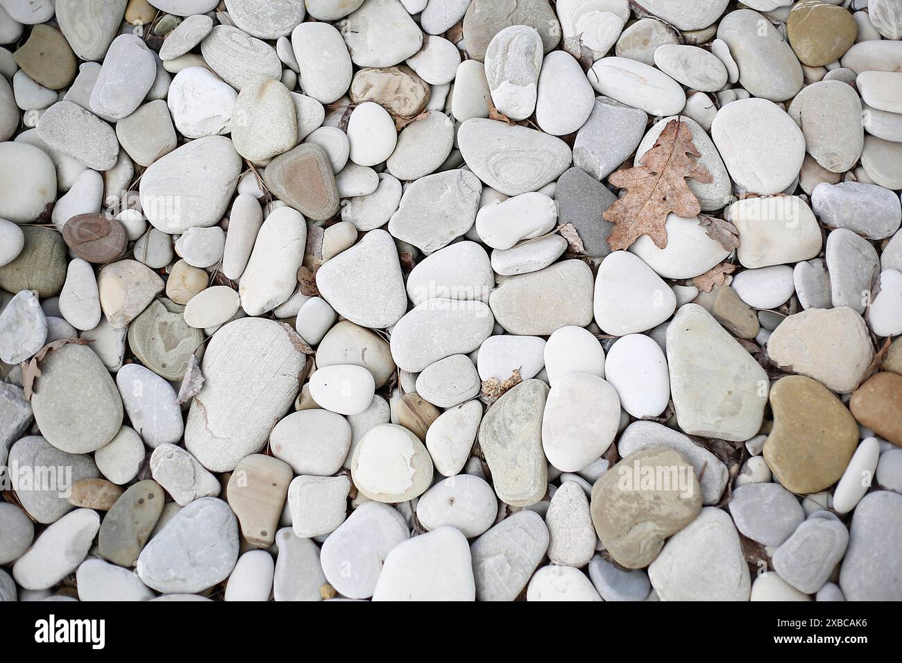 Pietre e ciottoli lisci in varie sfumature di grigio, bianco e beige con una singola foglia marrone, immagine di sfondo Foto Stock