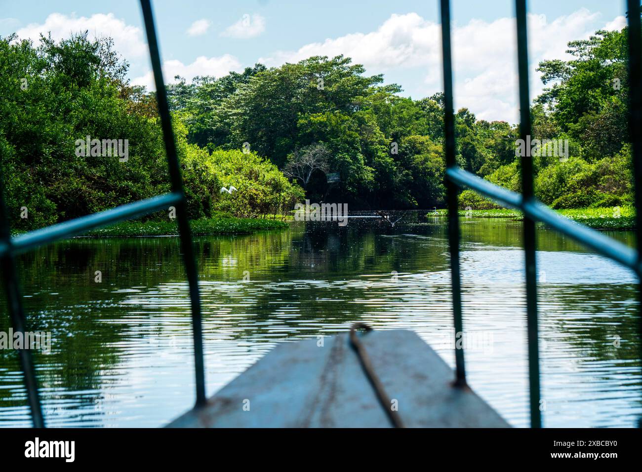 Canale secondario del fiume Ucayali vicino a Pucallpa. Foto Stock