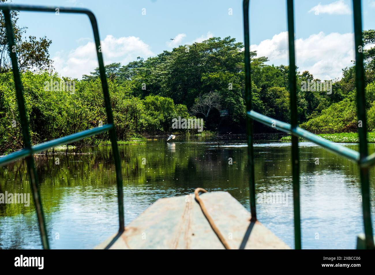 Canale secondario del fiume Ucayali vicino a Pucallpa. Foto Stock