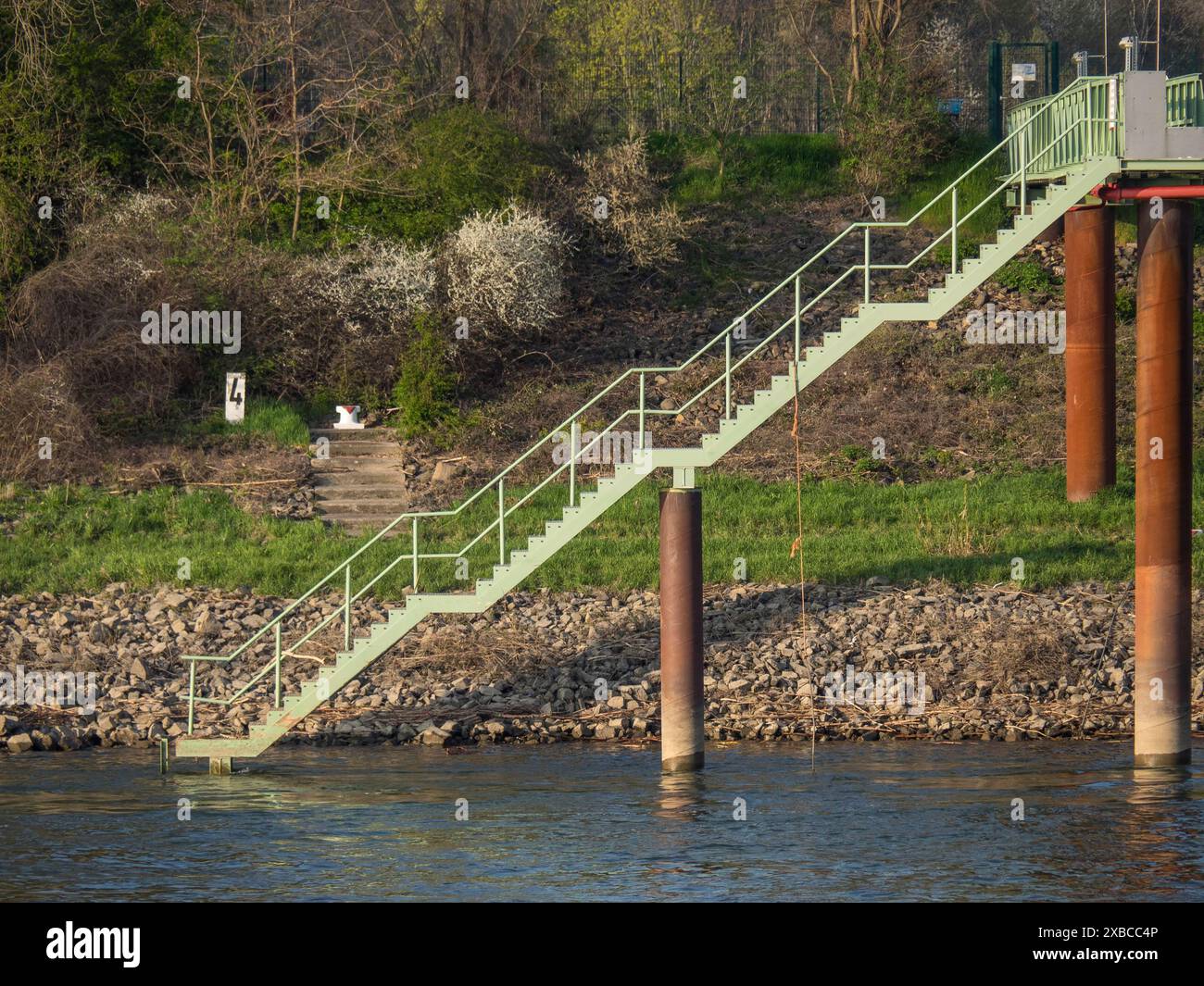 Gradini in pietra che conducono dalla riva del fiume, circondati dal verde della natura in primavera, Colonia, Renania settentrionale-Vestfalia, Germania Foto Stock