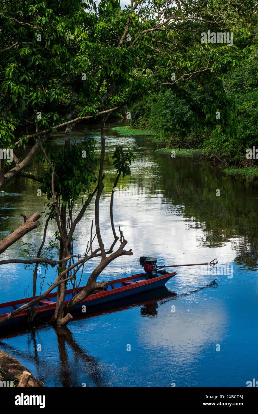 Fiume Ucayali vicino a Pucallpa Foto Stock