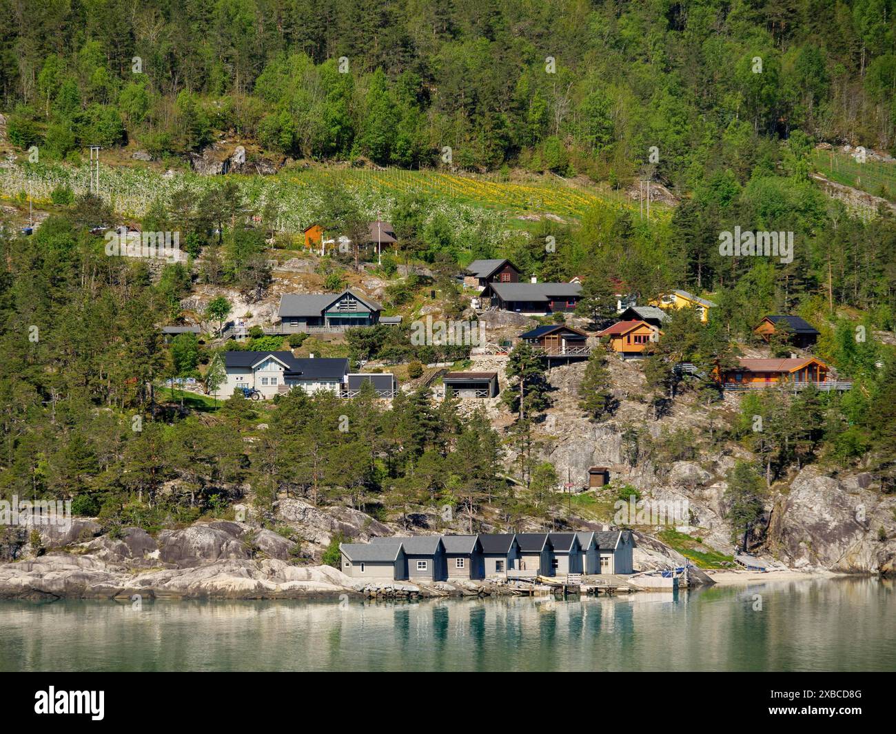 Tranquillo villaggio con case su una costa boscosa con colline verdi e un lago, Eidfjoerd, Norvegia, Scandinavia Foto Stock