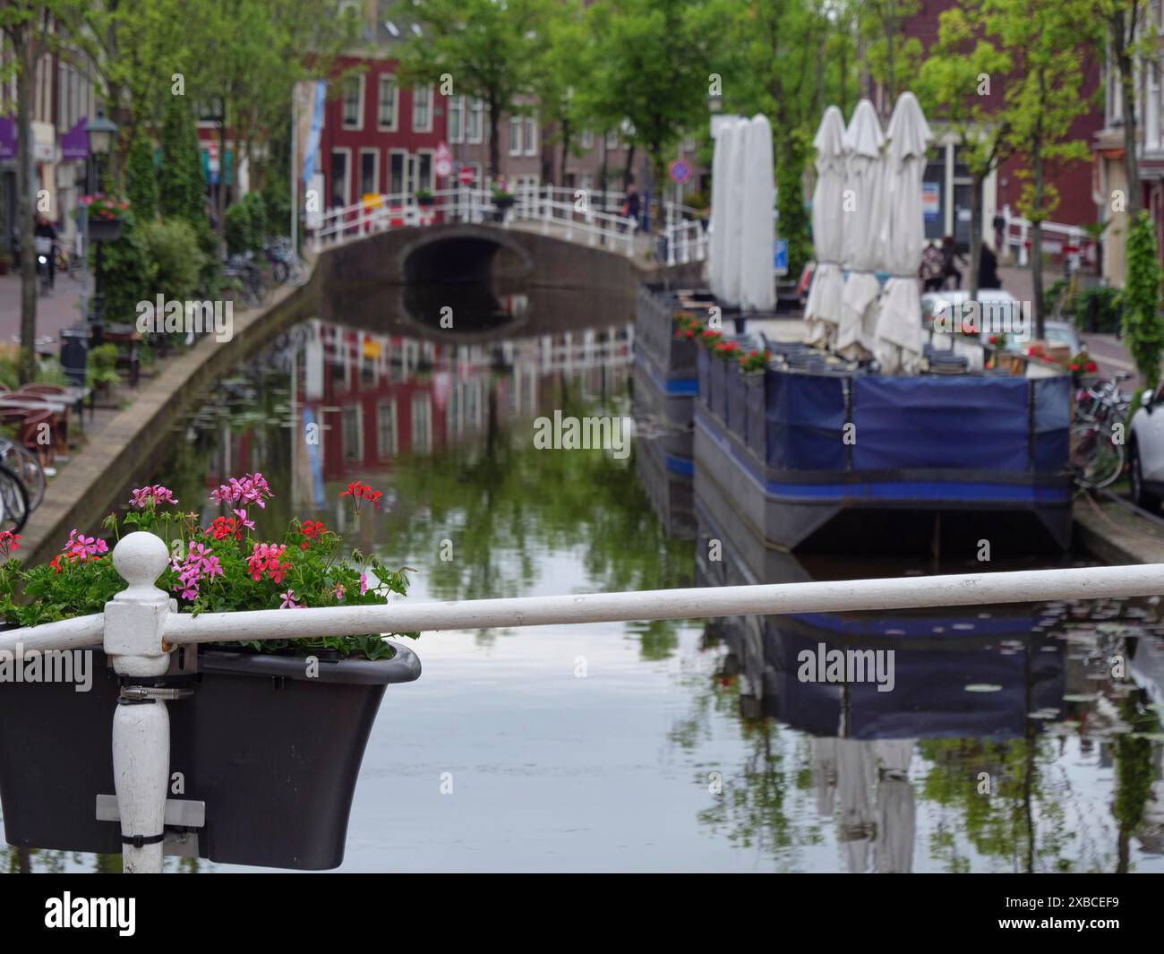 Vista panoramica sul canale con fiori in fiore, un piccolo ponte e un'atmosfera tranquilla della città, Delft, Olanda, Paesi Bassi Foto Stock