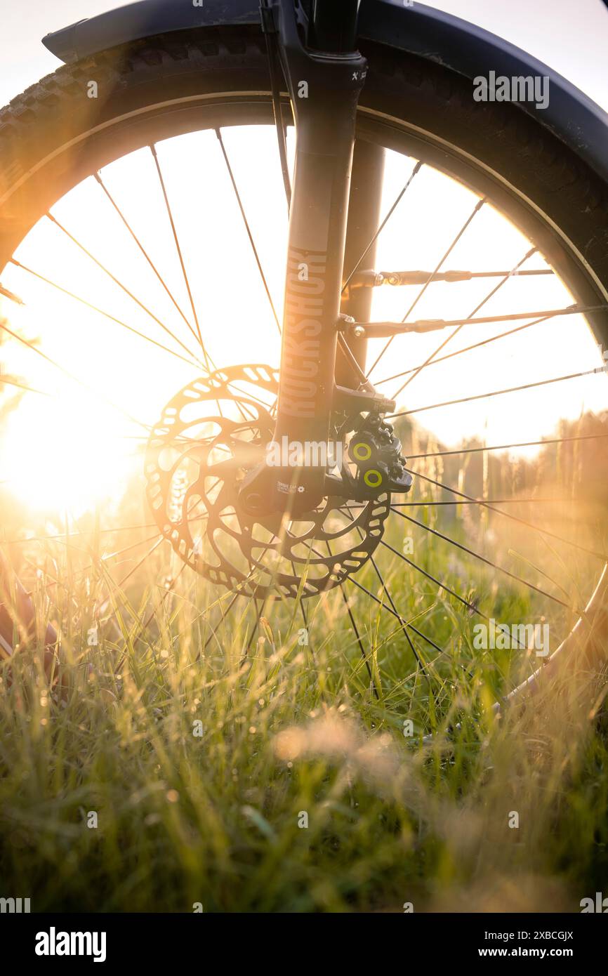 Ruota anteriore di una bicicletta al sole della sera in un prato, bicicletta elettrica, Foresta Nera, Gechingen, Germania Foto Stock