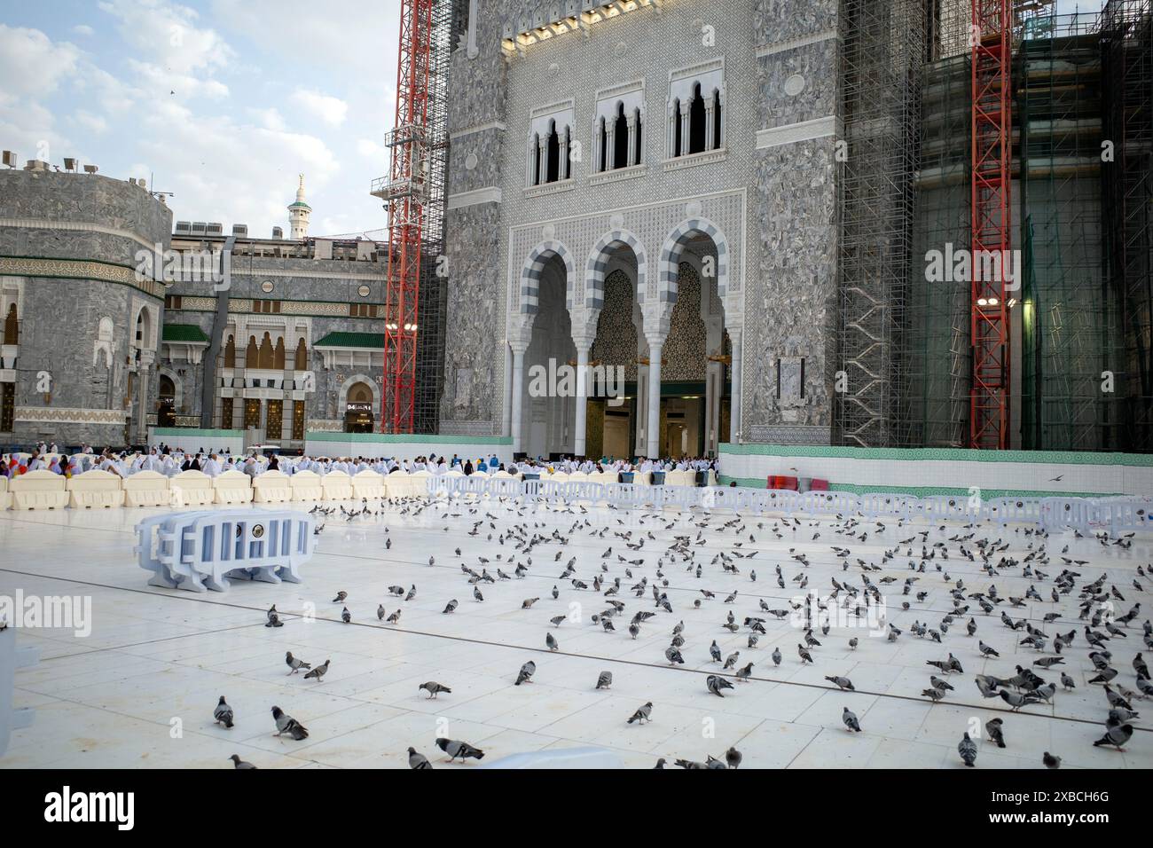 La Mecca, Arabia Saudita - 31 maggio 2024: Pellegrini Hajj e Umrah che camminano fino a Masjidil Haram, grande Moschea della Mecca con molte colombe in primo piano. Hajj 2 Foto Stock