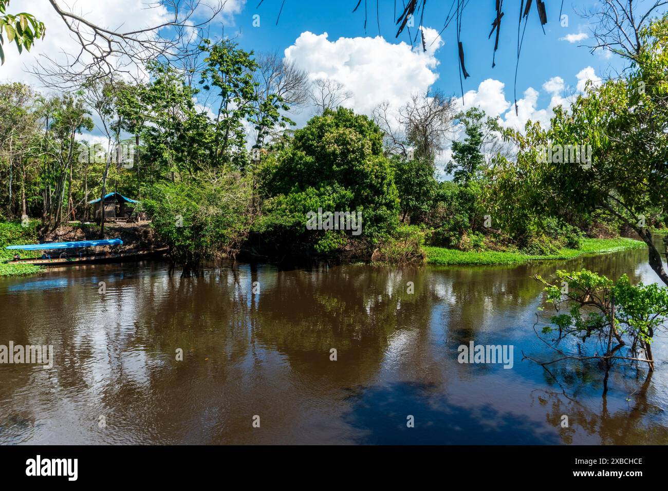 Canale secondario del fiume Ucayali vicino a Pucallpa. Foto Stock