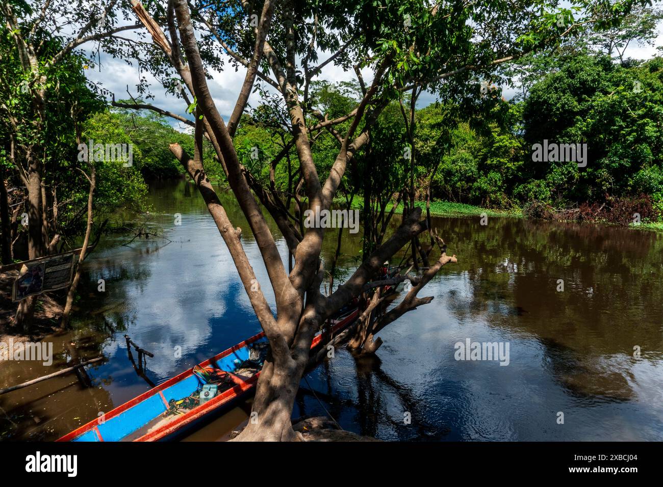 Canale secondario del fiume Ucayali vicino a Pucallpa. Foto Stock