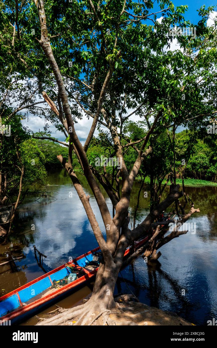Canale secondario del fiume Ucayali vicino a Pucallpa. Foto Stock