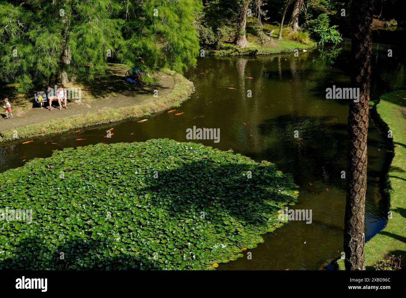 Furnas, Azzorre, 23.09.2018 - Giardino Botanico Terra nostra a Furnas, Isola di Sao Miguel, Azzorre, Portogallo Foto Stock