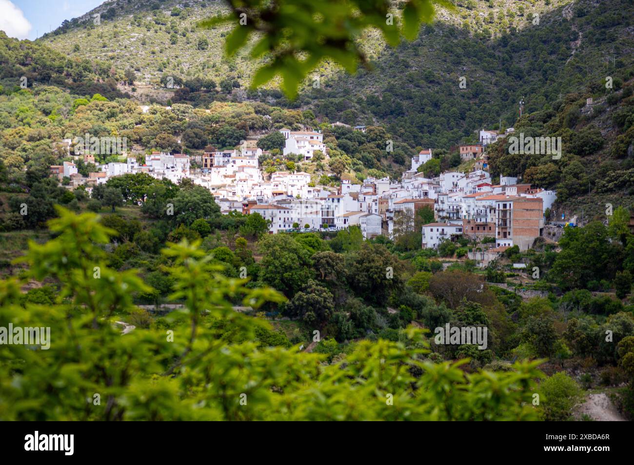 Meraviglioso paesaggio della valle Genal nel Parco Nazionale della Sierra de las Nieves, Andalusia, Spagna meridionale Foto Stock