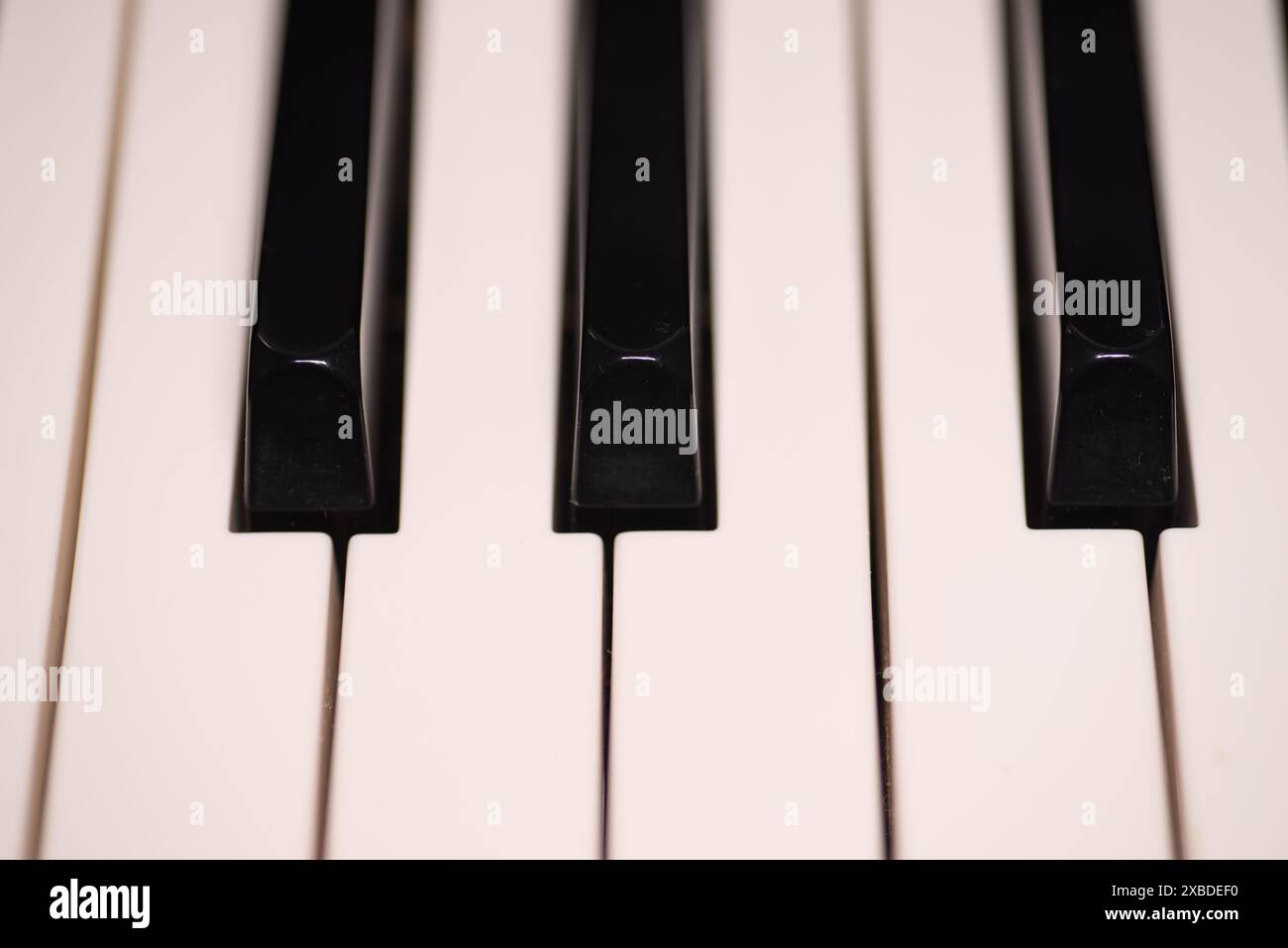 Jazz piano Keys. Primo piano dei tasti del pianoforte, concentrati su una nota, con primo piano e sfondo che sbiadisce in lontananza. Tema musicale Foto Stock