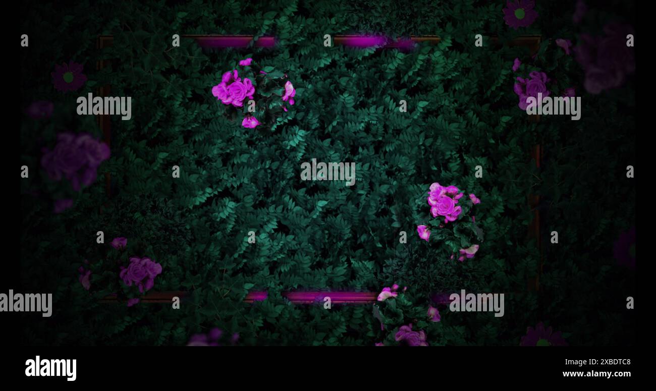 Immagine di fiori e foglie su sfondo nero, copia spazio Foto Stock