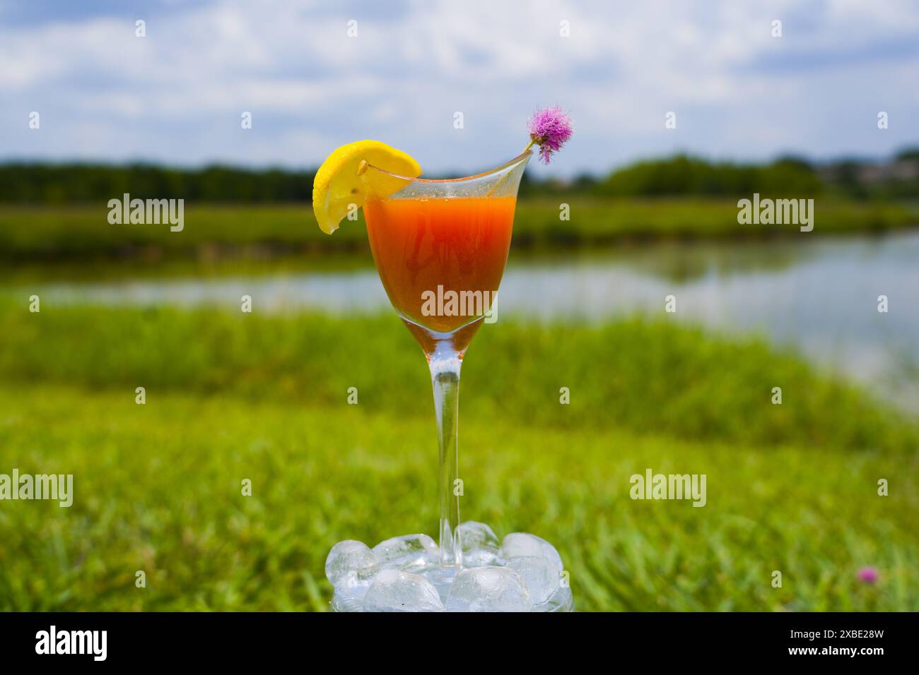 Bicchiere di succo di cocktail fresco. Immagine drink, Beverage. Collezione Zion'Art Foto Stock