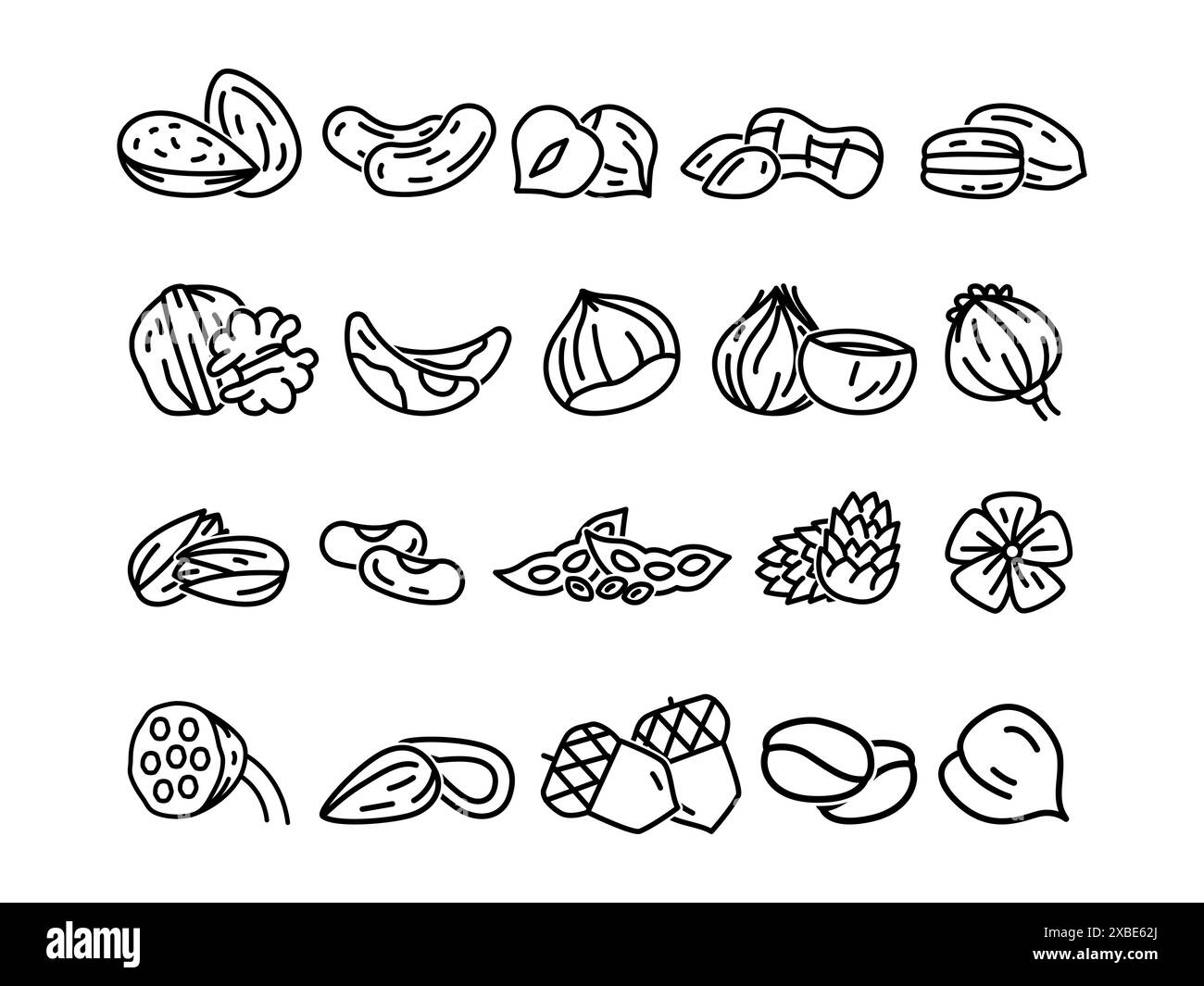 set vari icon nuts e cibo per semi biologico naturale nutrizione vitaminica sana vegetariano disegno a mano noci di petto Illustrazione Vettoriale