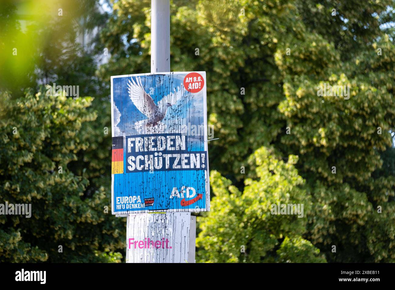 Beschädigtes Wahlplakat der AfD für die bevorstehenden Wahlen zum Europäischen Parlament in Berlin-Kreuzberg. / Ha danneggiato il manifesto elettorale del partito AfD per le prossime elezioni del Parlamento europeo a Berlino-Kreuzberg. Fotografia istantanea/K.M.Krause *** ha danneggiato il poster elettorale del partito AfD per le prossime elezioni al Parlamento europeo a Berlino Kreuzberg ha danneggiato il poster elettorale del partito AfD per le prossime elezioni al Parlamento europeo a Berlino Kreuzberg fotografia istantanea K M Krause Foto Stock