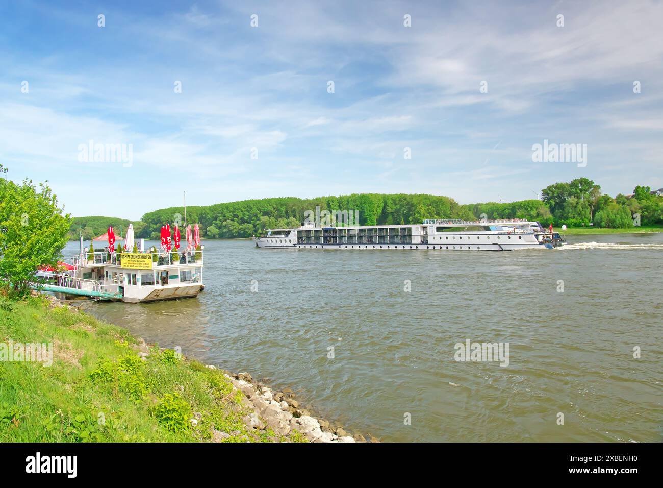 Il Danubio a Orth. Parco nazionale Donau-Auen Austria Foto Stock