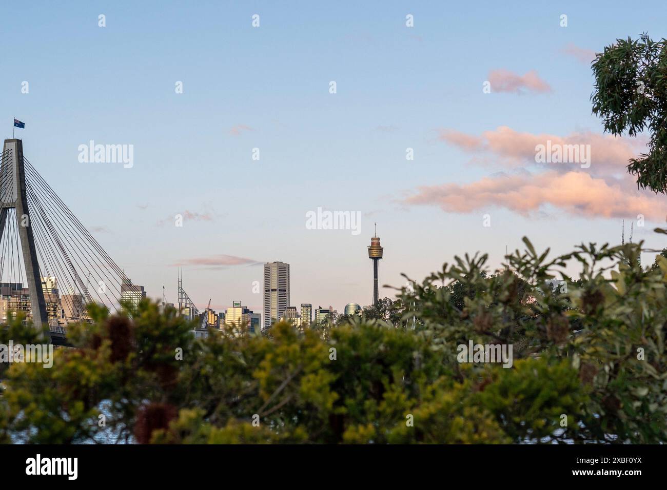 L'Anzac Bridge, un ponte strallato a otto corsie al tramonto, affacciato sul CBD Foto Stock