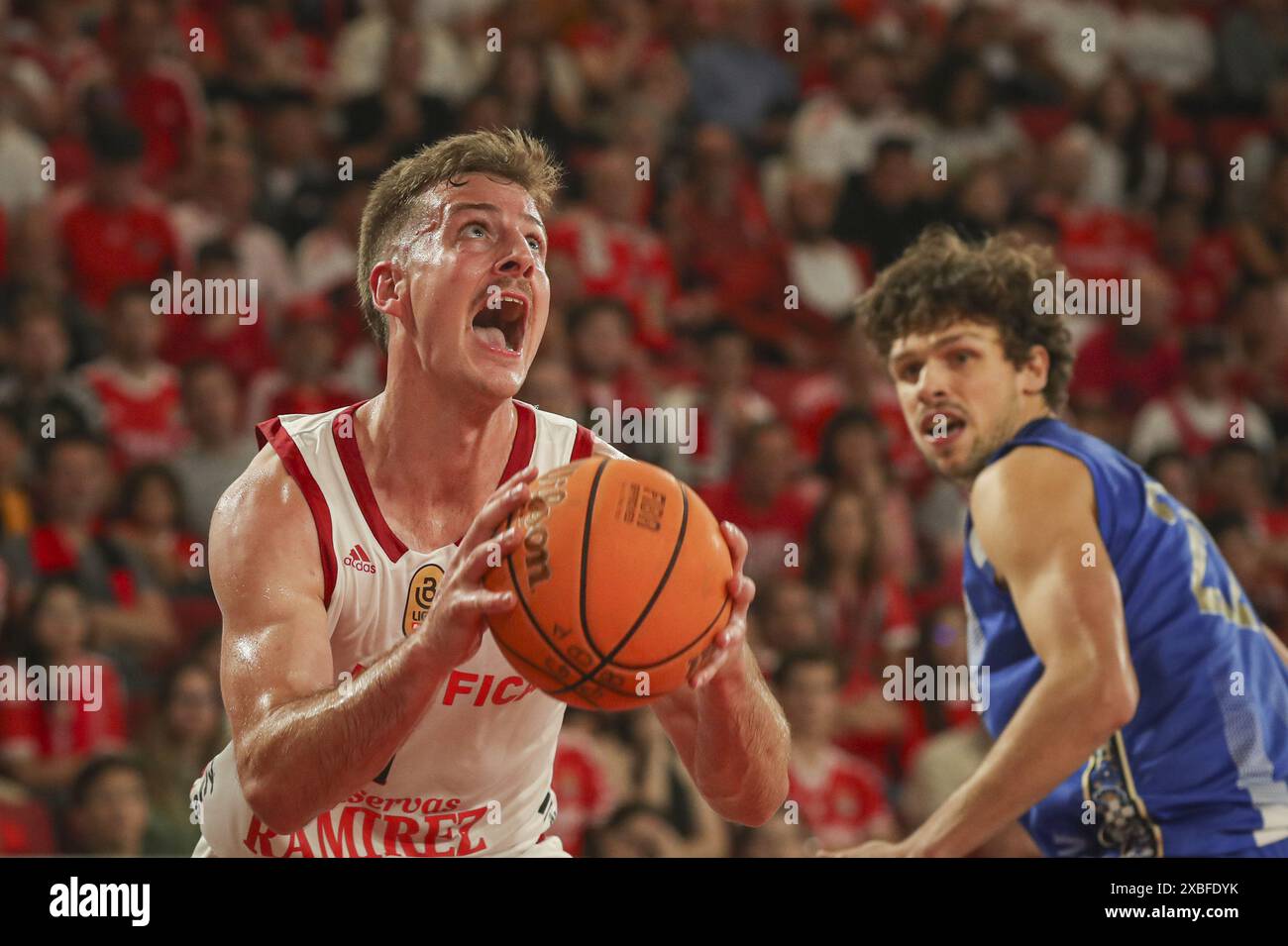Lisbona, 10/06/2024 - lo Sport Lisboa e Benfica sono stati incoronati 2023/24 campioni nazionali di basket questo pomeriggio dopo aver battuto il Futebol Clube do Porto al Pavilhão da Luz di Lisbona Foto Stock