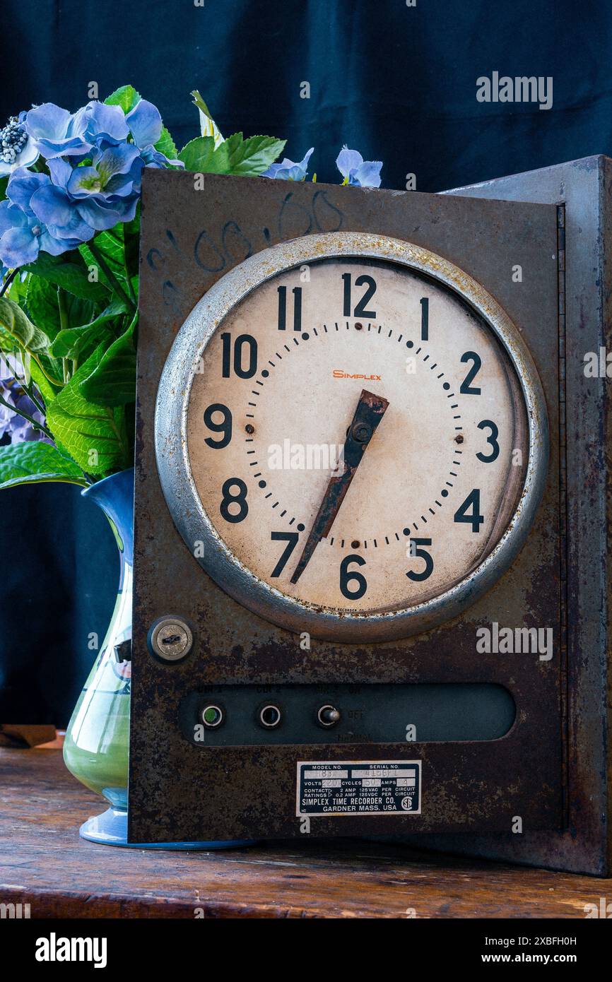 Orologio e botanico. Oggetti d'antiquariato coloniale, Gqeberha, Sudafrica. Foto Stock