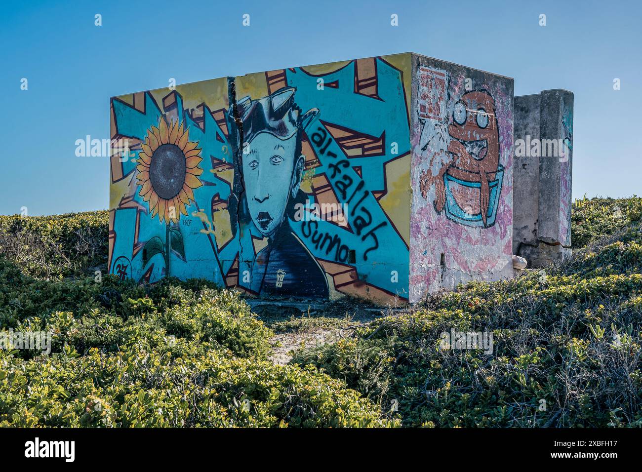 Graffiti sul muro dei bagni pubblici abbandonati. Noordhoek, Gqeberha, Sudafrica. Foto Stock