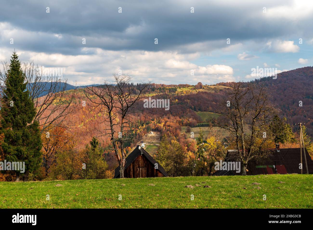 Le montagne autunnali di Beskid Slaski in Polonia, con prati, pochi edifici isolati e colline coperte da foreste colorate Foto Stock