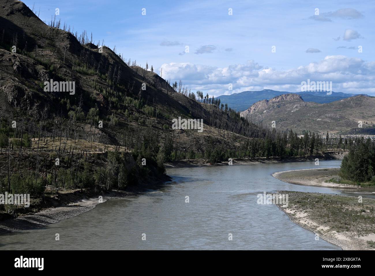 foresta bruciata dopo un incendio. Foresta bruciata drammatica in Canada Foto Stock