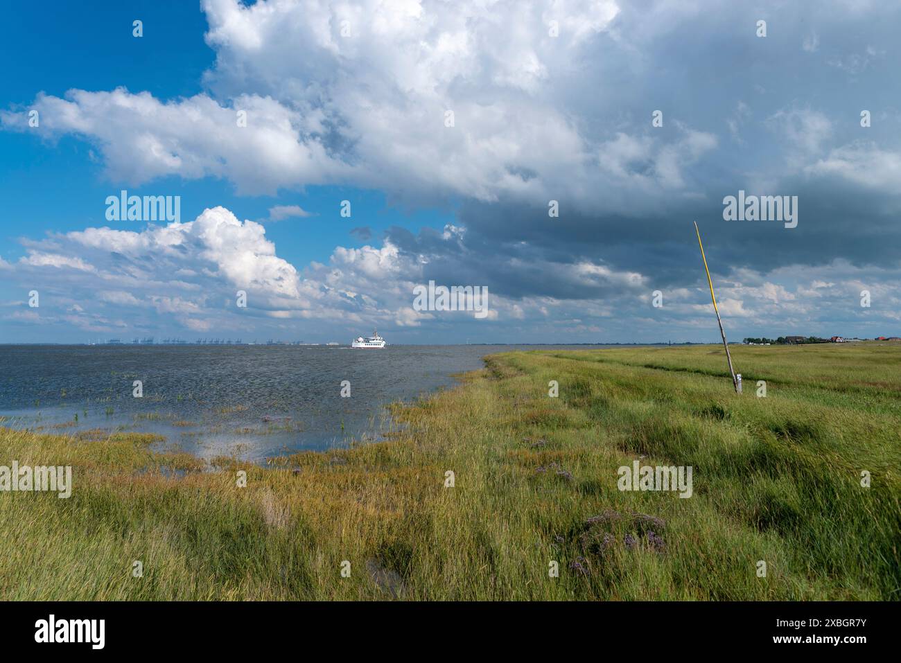 Geografia / viaggi, Germania, bassa Sassonia, Butjadingen, ULTERIORI-DIRITTI-CLEARANCE-INFO-NON-DISPONIBILI Foto Stock