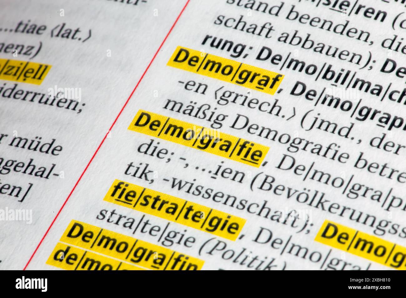 Symbolbild Demografie, Auszug aus dem Duden *** simbolo demografico, estratto dal dizionario Copyright: XUdoxHerrmannx Foto Stock