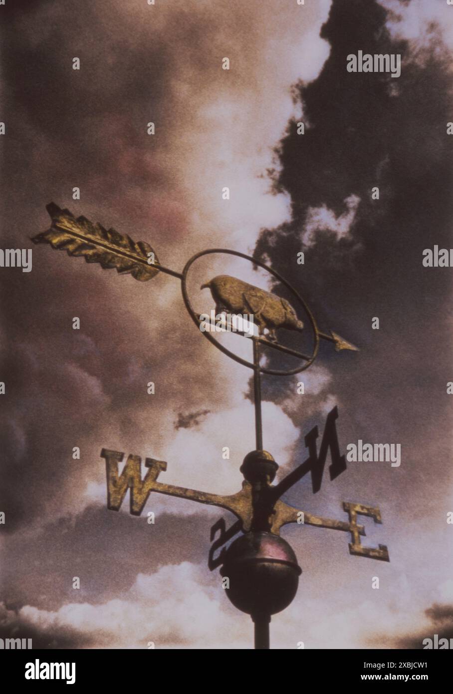 Illustrazione di una paletta meteorologica a tema maiale Foto Stock