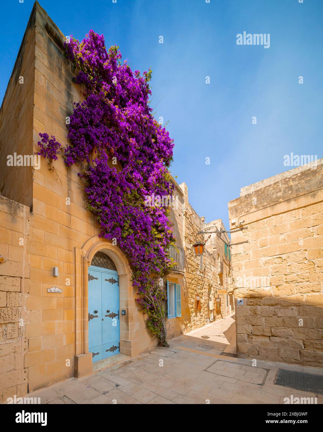 Bellissima attrazione a Mdina (la città silenziosa). Vista fantastica su un muro di casa giallo con porta azzurra e fiori viola Foto Stock