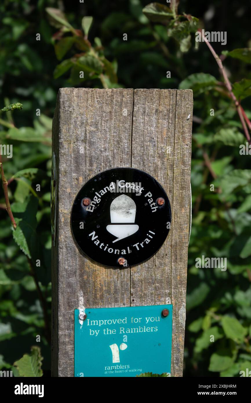 Cartello nero rotondo sulla costa inglese con il simbolo della ghianda e un cartello di Ramblers migliorato su un palo di legno su uno sfondo verde sfocato con foglie Foto Stock