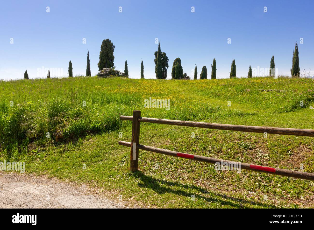 Paesaggio rurale con una fila di cipressi sullo sfondo e una recinzione in legno in primo piano Foto Stock