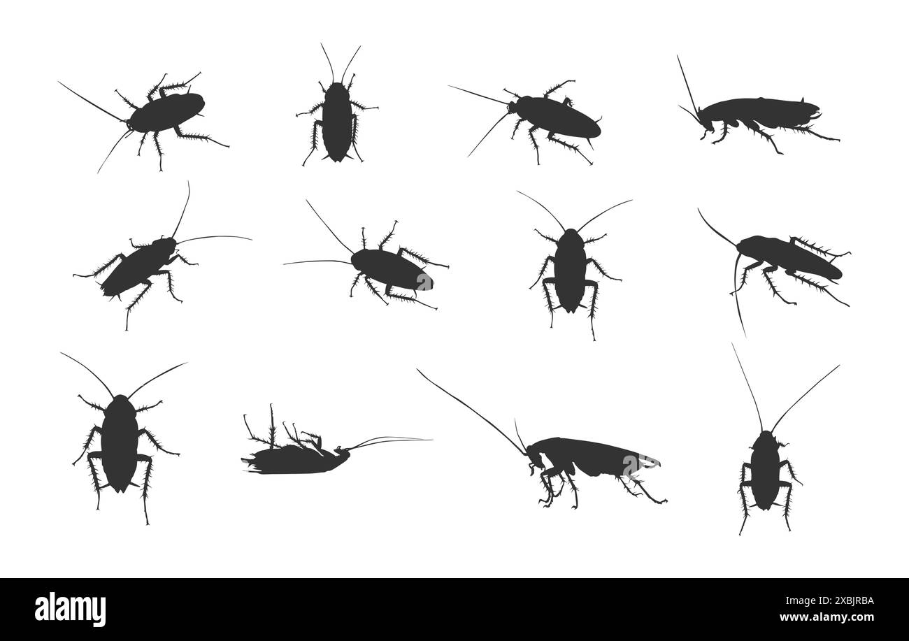 Silhouette scarafaggi, set di silhouette scarafaggi, icona Cockroach, silhouette scarafaggio morto, vettore Cockroach. Illustrazione Vettoriale