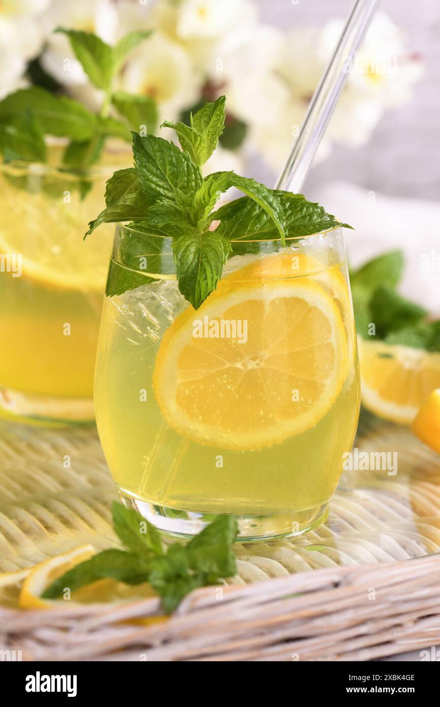 Il Limoncello Spritz è un cocktail leggero, rinfrescante e fresco preparato con liquore al limone, prosecco e acqua frizzante, menta e una fetta di limone. Foto Stock