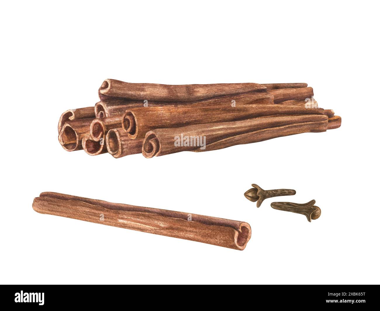 Bastoncini di cannella e chiodi di garofano. Cumulo di spezie aromatiche. Condimento profumato e ruvido per medicina, cibo, bevande natalizie. Illustrazione acquerello. Foto Stock