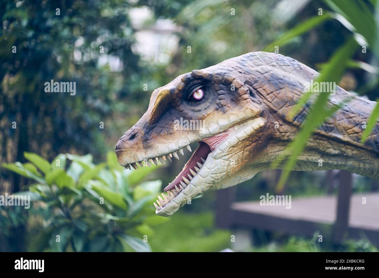 Un primo piano della testa di un Velociraptor è una delle specie più comuni, caratterizzata da destrezza, struttura sottile ed eccellente senso dell'olfatto. Foto di alta qualità Foto Stock